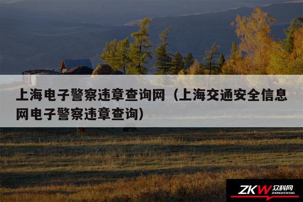 上海电子警察违章查询网以及上海交通安全信息网电子警察违章查询