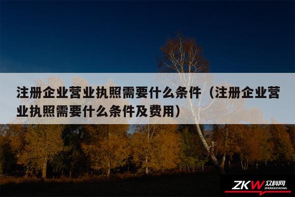 注册企业营业执照需要什么条件以及注册企业营业执照需要什么条件及费用