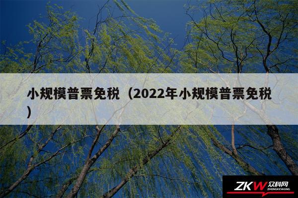 小规模普票免税以及2024年小规模普票免税