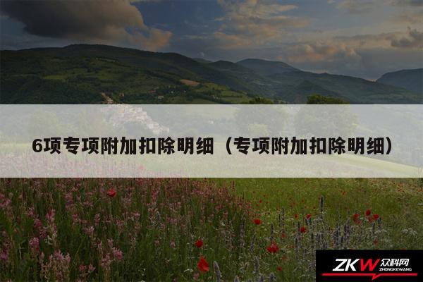 6项专项附加扣除明细以及专项附加扣除明细