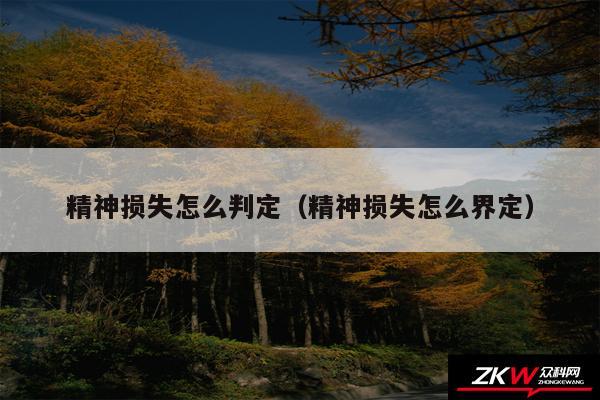 精神损失怎么判定以及精神损失怎么界定