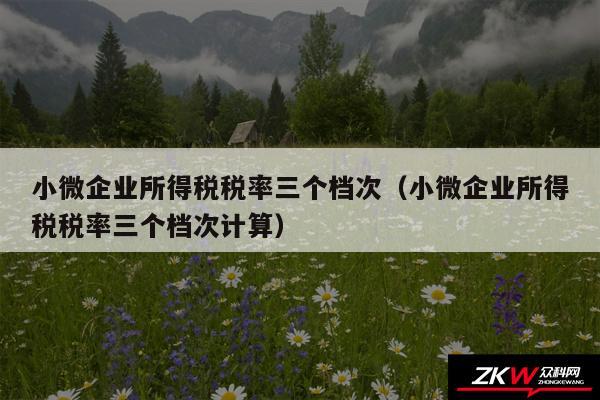 小微企业所得税税率三个档次以及小微企业所得税税率三个档次计算
