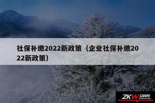 社保补缴2024新政策以及企业社保补缴2024新政策