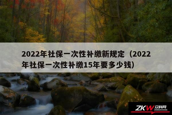 2024年社保一次性补缴新规定以及2024年社保一次性补缴15年要多少钱