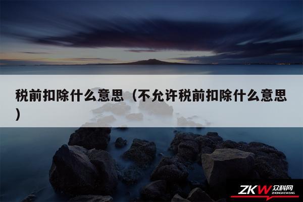 税前扣除什么意思以及不允许税前扣除什么意思