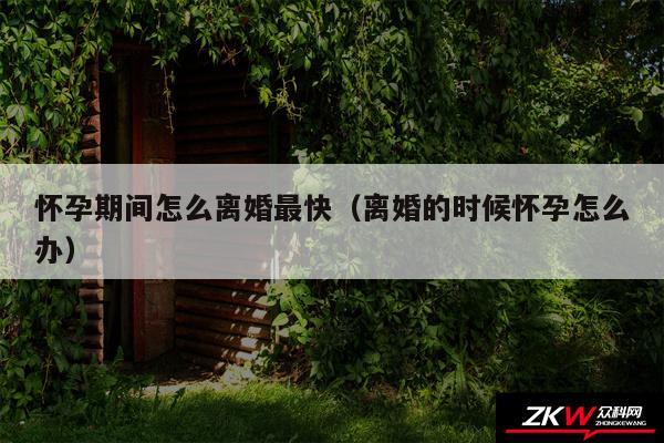 怀孕期间怎么离婚最快以及离婚的时候怀孕怎么办