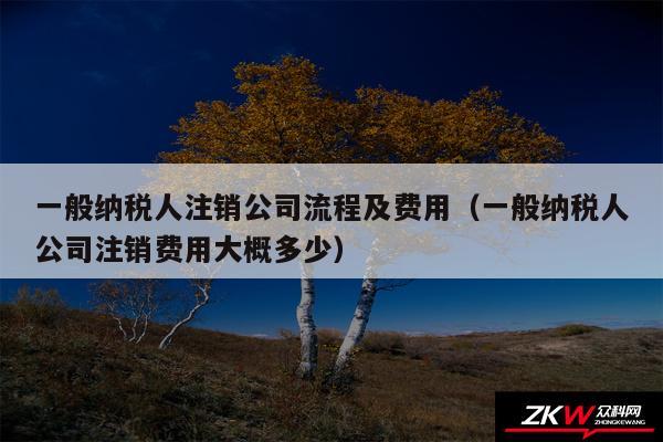 一般纳税人注销公司流程及费用以及一般纳税人公司注销费用大概多少