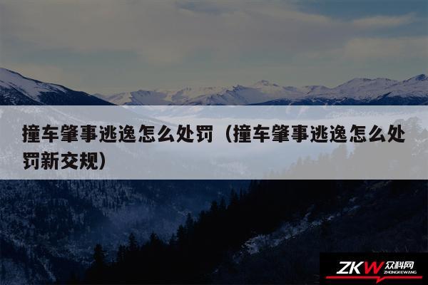 撞车肇事逃逸怎么处罚以及撞车肇事逃逸怎么处罚新交规