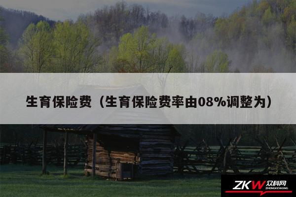 生育保险费以及生育保险费率由08%调整为