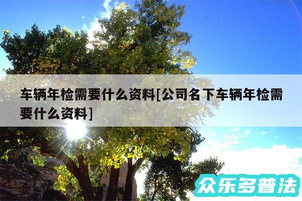 车辆年检需要什么资料及公司名下车辆年检需要什么资料