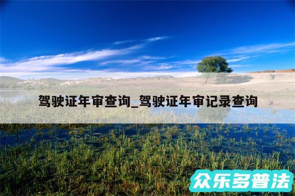 驾驶证年审查询_驾驶证年审记录查询
