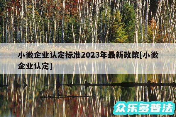 小微企业认定标准2024年最新政策及小微企业认定