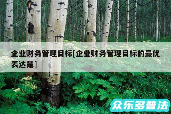 企业财务管理目标及企业财务管理目标的最优表达是