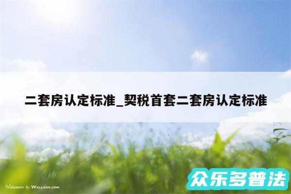 二套房认定标准_契税首套二套房认定标准