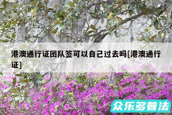 港澳通行证团队签可以自己过去吗及港澳通行证
