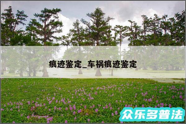 痕迹鉴定_车祸痕迹鉴定