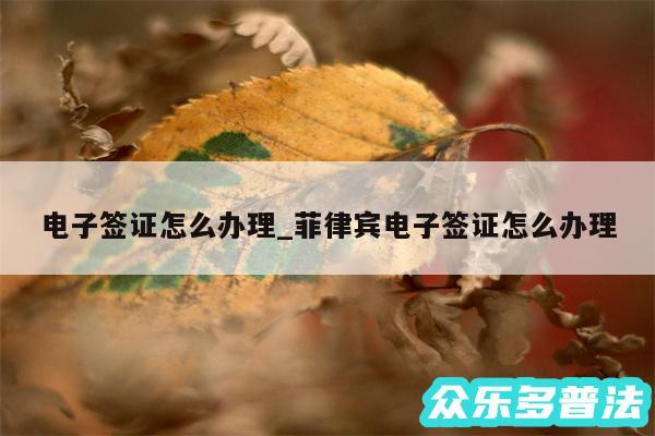 电子签证怎么办理_菲律宾电子签证怎么办理