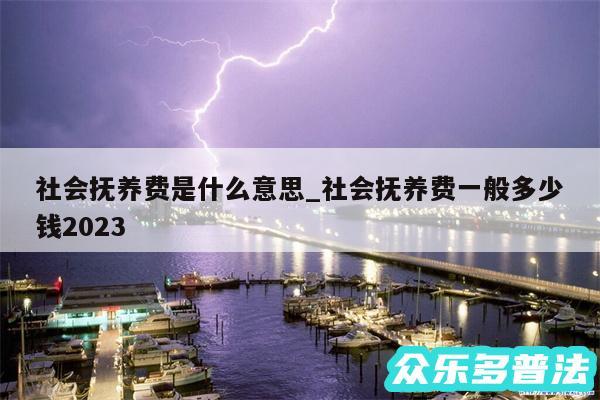 社会抚养费是什么意思_社会抚养费一般多少钱2024