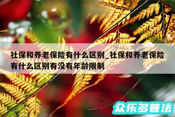 社保和养老保险有什么区别_社保和养老保险有什么区别有没有年龄限制