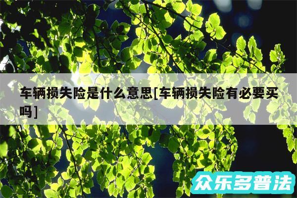 车辆损失险是什么意思及车辆损失险有必要买吗