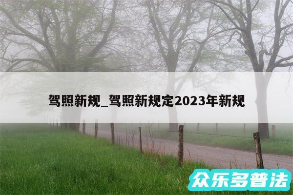 驾照新规_驾照新规定2024年新规