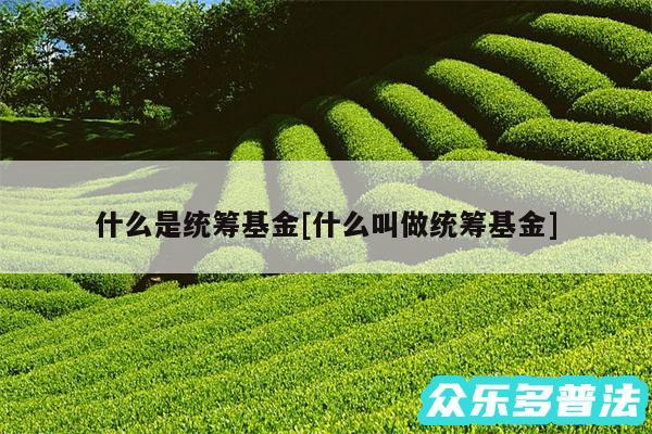 什么是统筹基金及什么叫做统筹基金