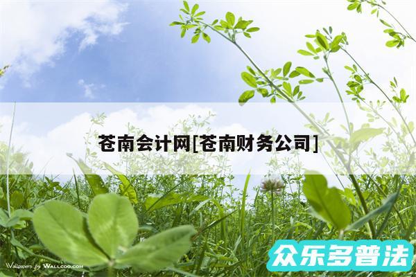 苍南会计网及苍南财务公司