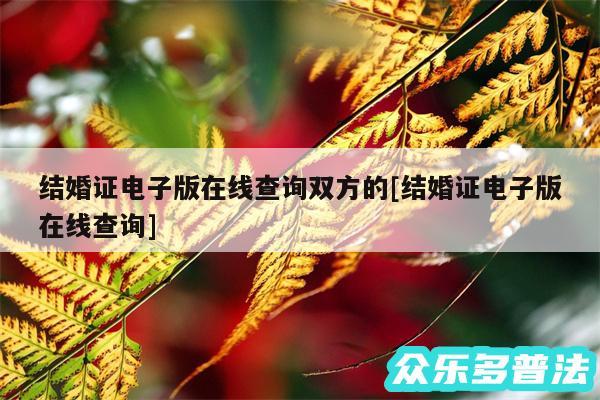 结婚证电子版在线查询双方的及结婚证电子版在线查询