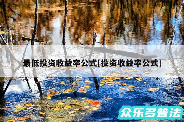 最低投资收益率公式及投资收益率公式