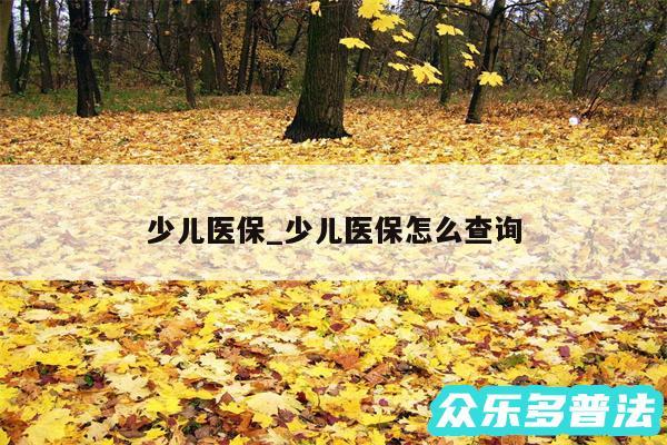 少儿医保_少儿医保怎么查询
