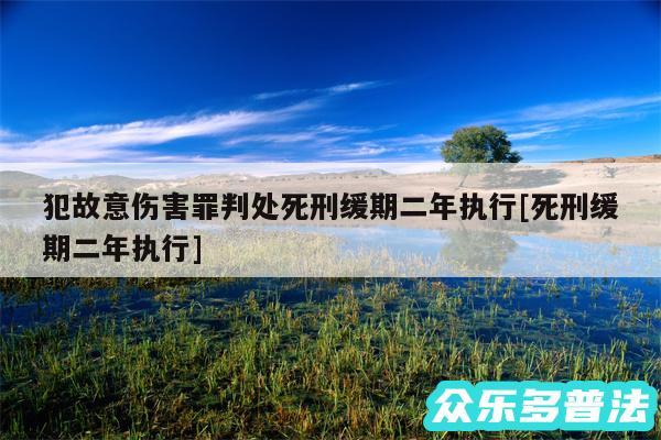 犯故意伤害罪判处死刑缓期二年执行及死刑缓期二年执行