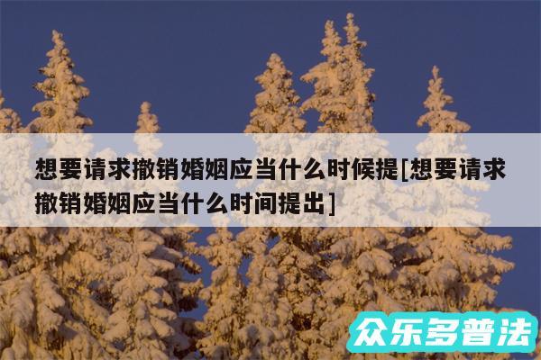 想要请求撤销婚姻应当什么时候提及想要请求撤销婚姻应当什么时间提出