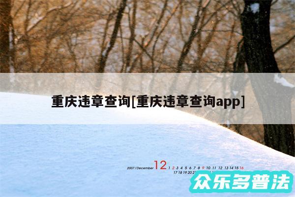 重庆违章查询及重庆违章查询app