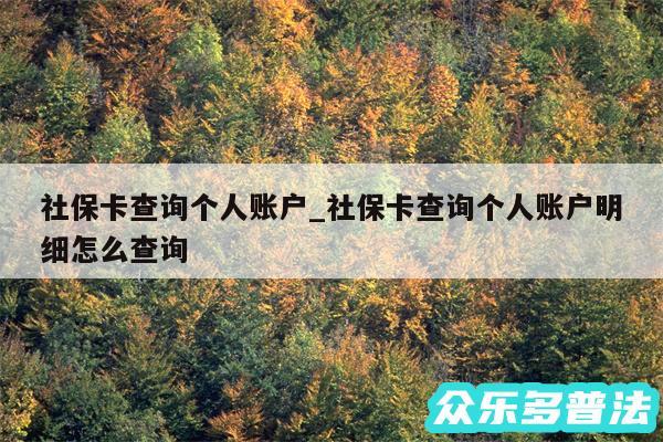 社保卡查询个人账户_社保卡查询个人账户明细怎么查询