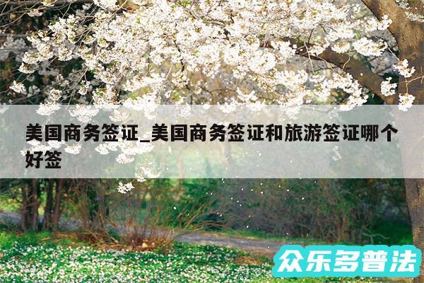 美国商务签证_美国商务签证和旅游签证哪个好签