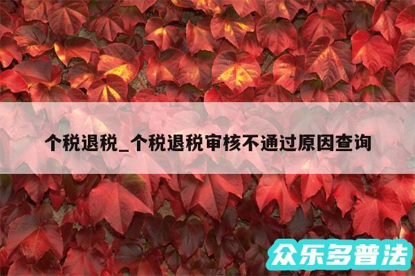 个税退税_个税退税审核不通过原因查询