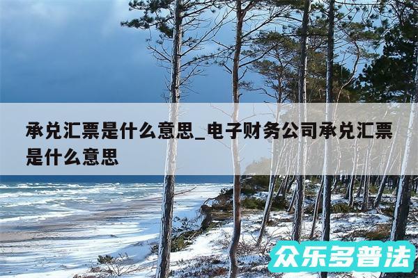 承兑汇票是什么意思_电子财务公司承兑汇票是什么意思