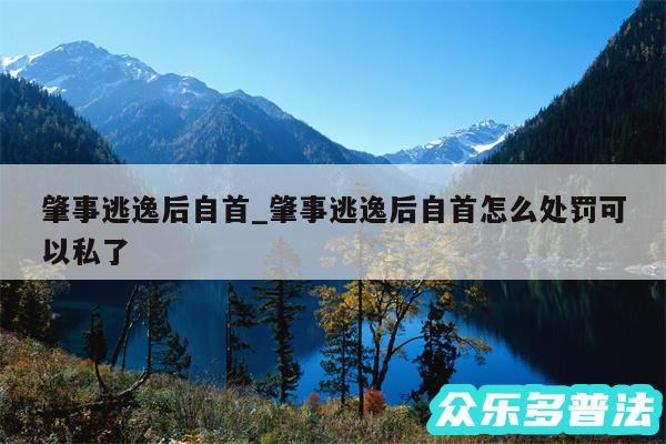 肇事逃逸后自首_肇事逃逸后自首怎么处罚可以私了