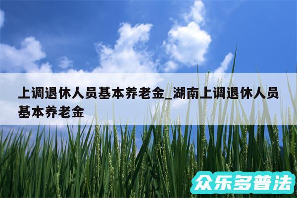 上调退休人员基本养老金_湖南上调退休人员基本养老金