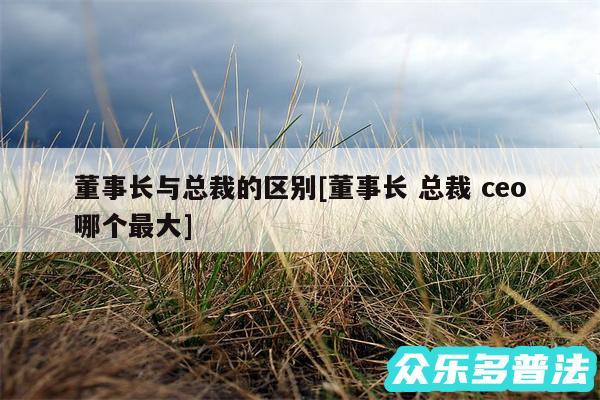 董事长与总裁的区别及董事长 总裁 ceo哪个最大
