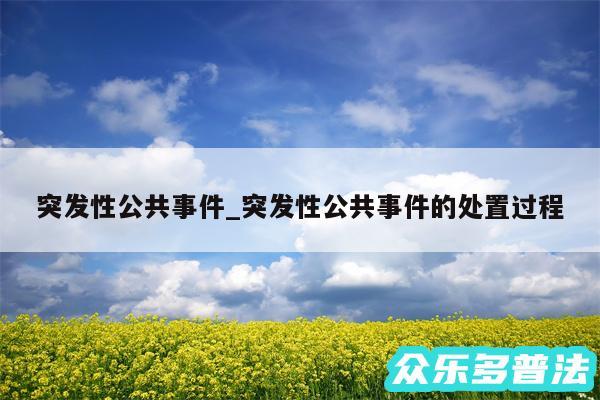 突发性公共事件_突发性公共事件的处置过程