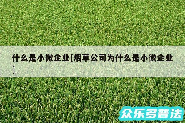 什么是小微企业及烟草公司为什么是小微企业