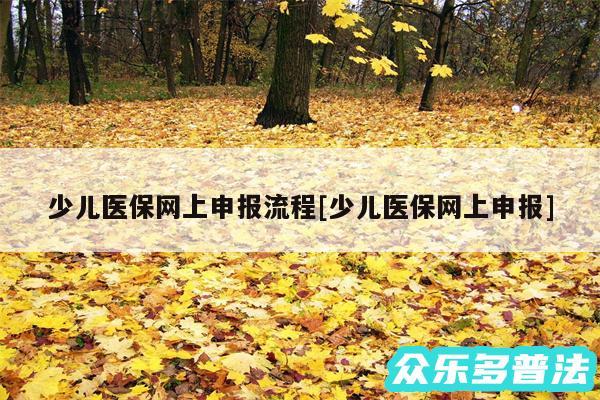 少儿医保网上申报流程及少儿医保网上申报