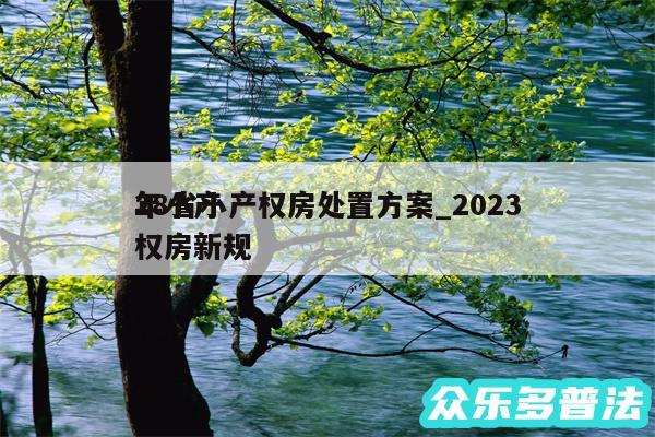 28省小产权房处置方案_2024
年小产权房新规