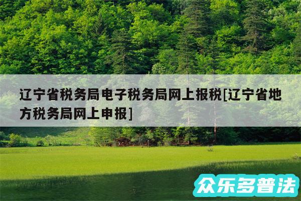 辽宁省税务局电子税务局网上报税及辽宁省地方税务局网上申报