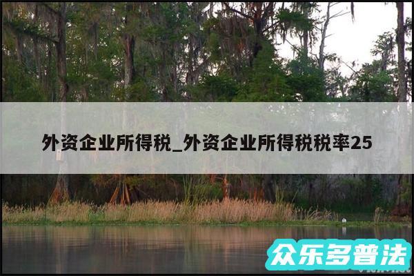 外资企业所得税_外资企业所得税税率25