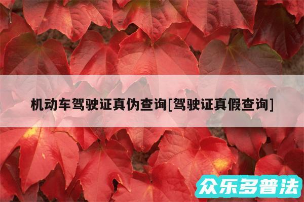 机动车驾驶证真伪查询及驾驶证真假查询