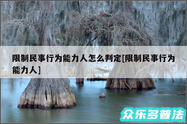 限制民事行为能力人怎么判定及限制民事行为能力人