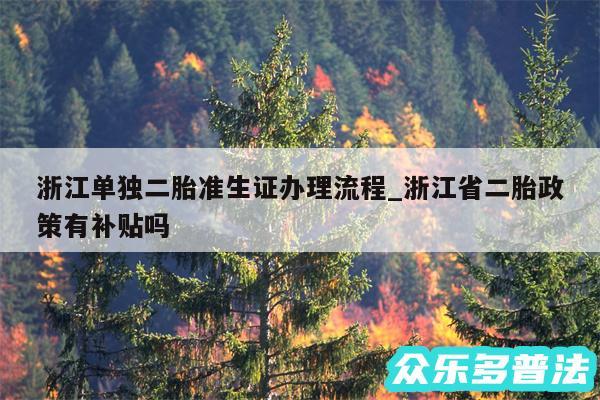 浙江单独二胎准生证办理流程_浙江省二胎政策有补贴吗