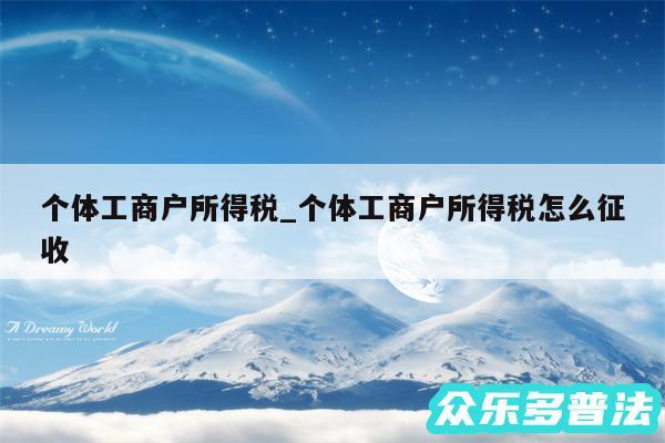 个体工商户所得税_个体工商户所得税怎么征收